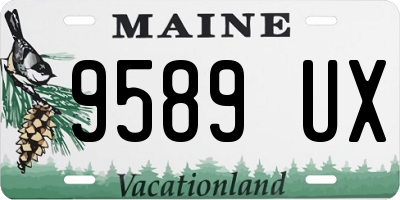 ME license plate 9589UX