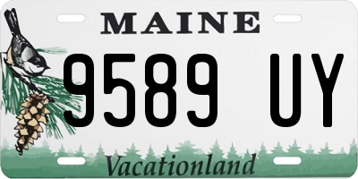 ME license plate 9589UY