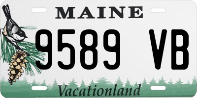 ME license plate 9589VB