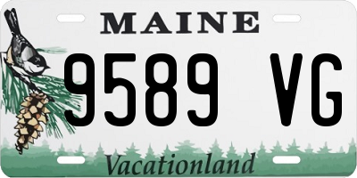 ME license plate 9589VG