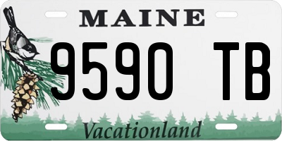 ME license plate 9590TB