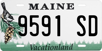 ME license plate 9591SD