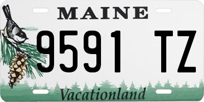 ME license plate 9591TZ