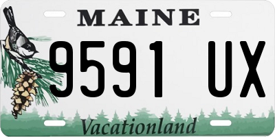 ME license plate 9591UX