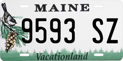 ME license plate 9593SZ
