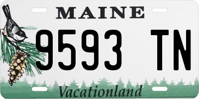 ME license plate 9593TN
