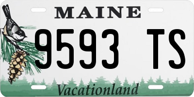 ME license plate 9593TS