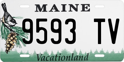 ME license plate 9593TV