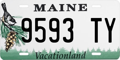 ME license plate 9593TY
