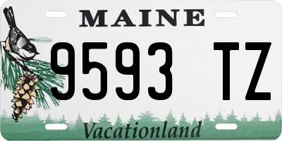 ME license plate 9593TZ