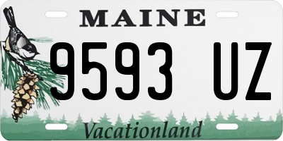 ME license plate 9593UZ