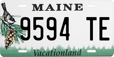 ME license plate 9594TE