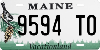ME license plate 9594TO