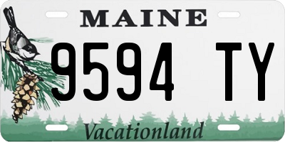 ME license plate 9594TY