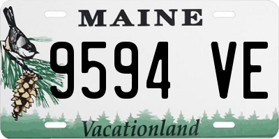 ME license plate 9594VE