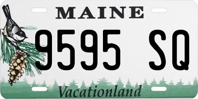 ME license plate 9595SQ