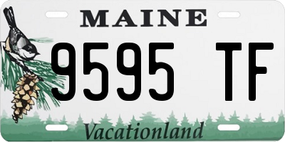 ME license plate 9595TF