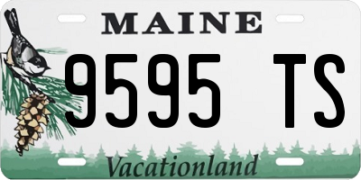 ME license plate 9595TS