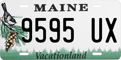 ME license plate 9595UX