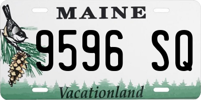 ME license plate 9596SQ