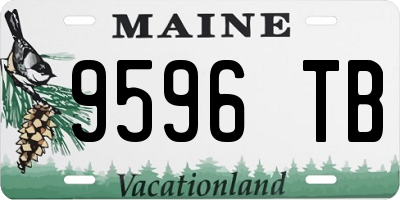 ME license plate 9596TB
