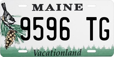 ME license plate 9596TG