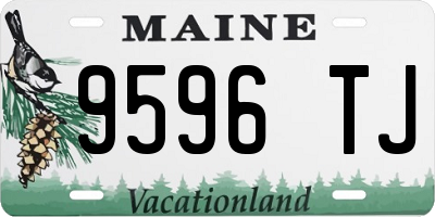 ME license plate 9596TJ