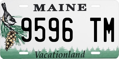 ME license plate 9596TM