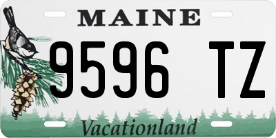 ME license plate 9596TZ
