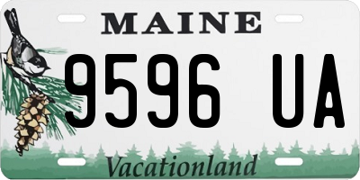 ME license plate 9596UA