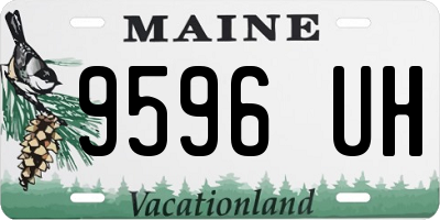 ME license plate 9596UH