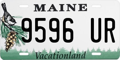 ME license plate 9596UR