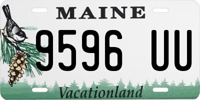 ME license plate 9596UU