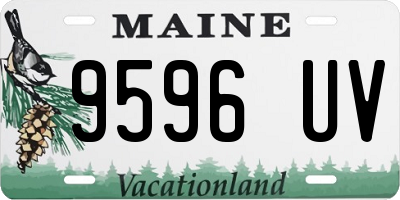 ME license plate 9596UV