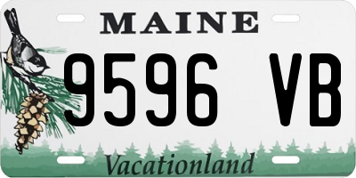 ME license plate 9596VB