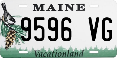 ME license plate 9596VG