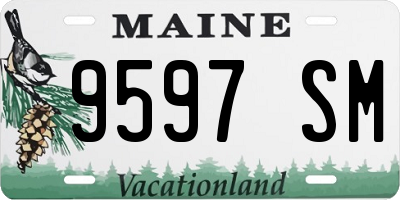 ME license plate 9597SM