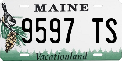 ME license plate 9597TS