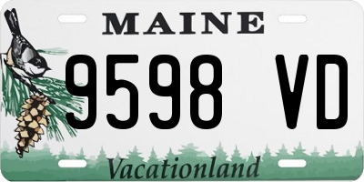 ME license plate 9598VD