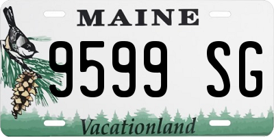 ME license plate 9599SG