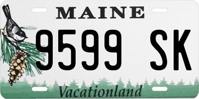 ME license plate 9599SK