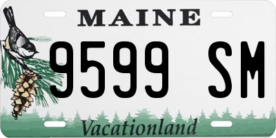 ME license plate 9599SM