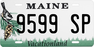 ME license plate 9599SP