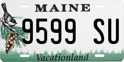 ME license plate 9599SU