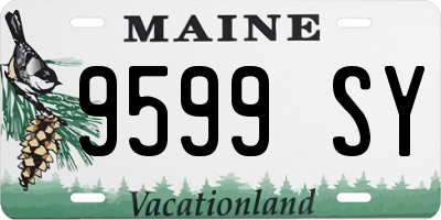 ME license plate 9599SY