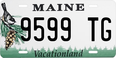ME license plate 9599TG
