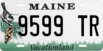 ME license plate 9599TR