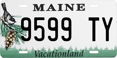 ME license plate 9599TY