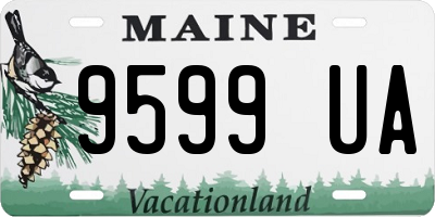 ME license plate 9599UA