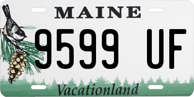 ME license plate 9599UF